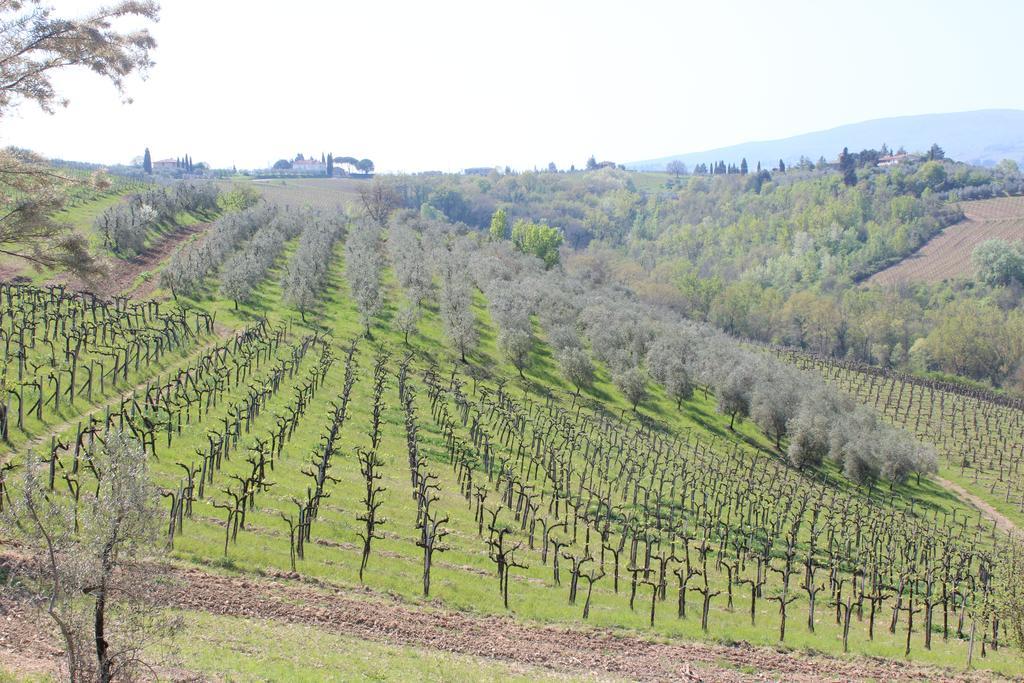 Bio Agriturismo Podere Pretoia San Gimignano Buitenkant foto