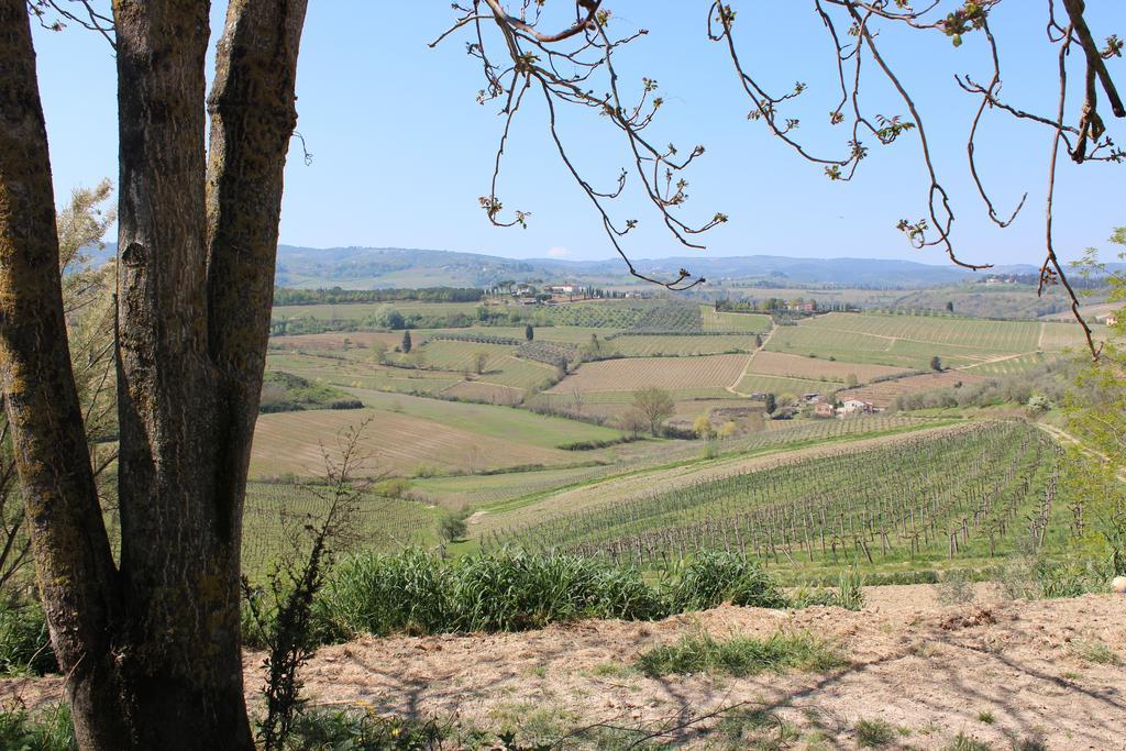 Bio Agriturismo Podere Pretoia San Gimignano Buitenkant foto