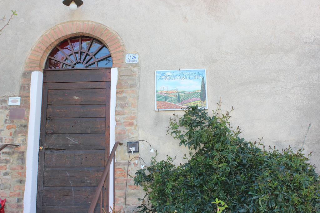 Bio Agriturismo Podere Pretoia San Gimignano Buitenkant foto